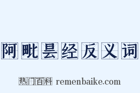 阿毗昙经反义词是什么意思的图片